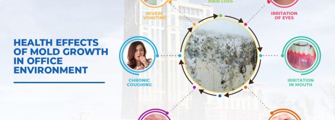 Health Effects of Mold Growth