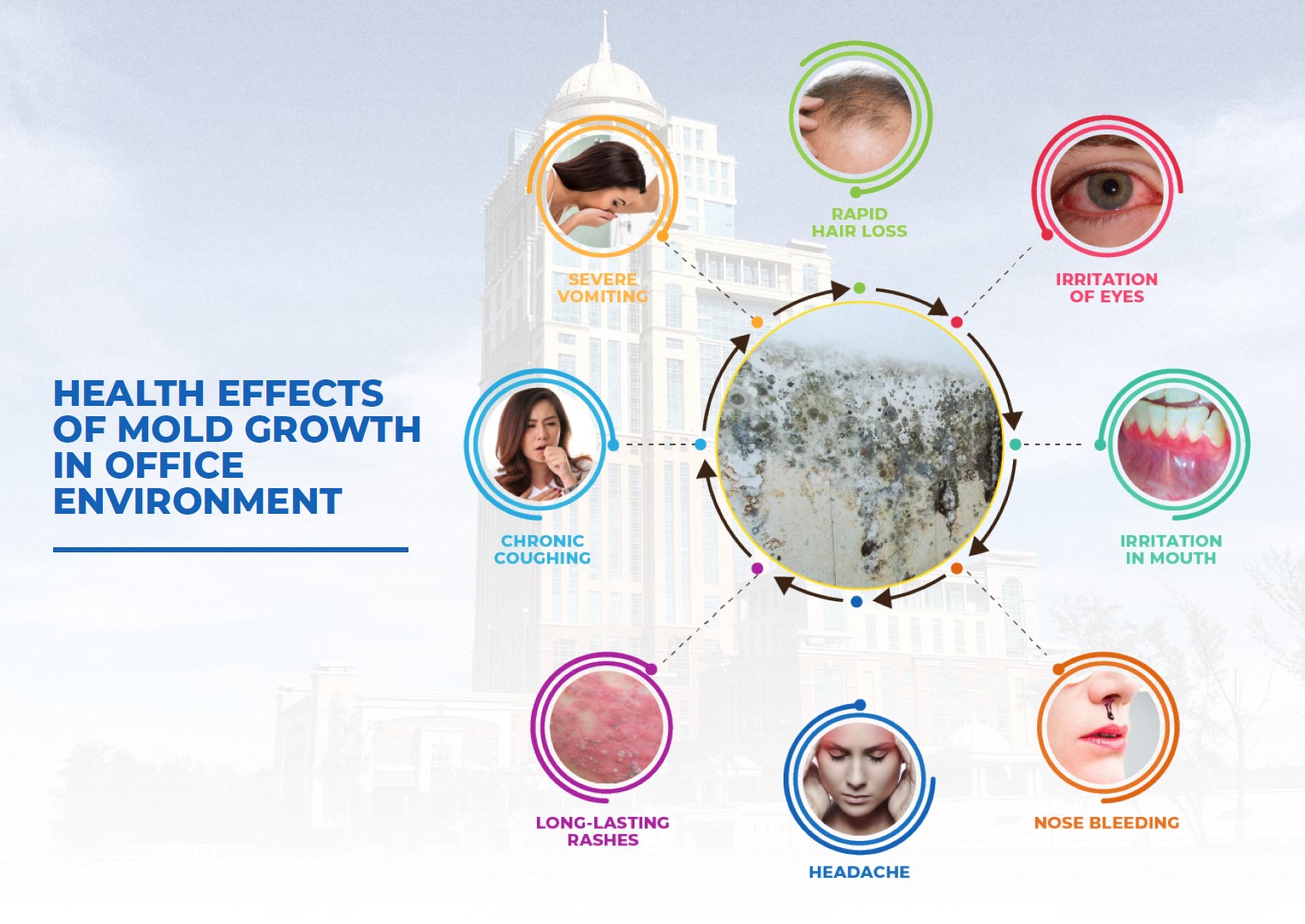 Mold Contamination And Health Enviro Group Integrated Environmental   Health Effects Of Mold Growth 