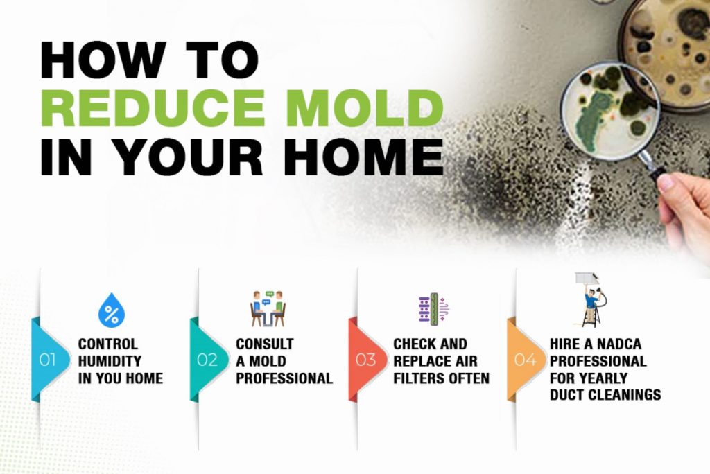 how to reduce mold indoors