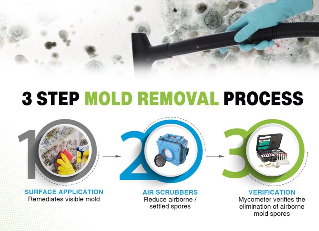 Steps for mold removal